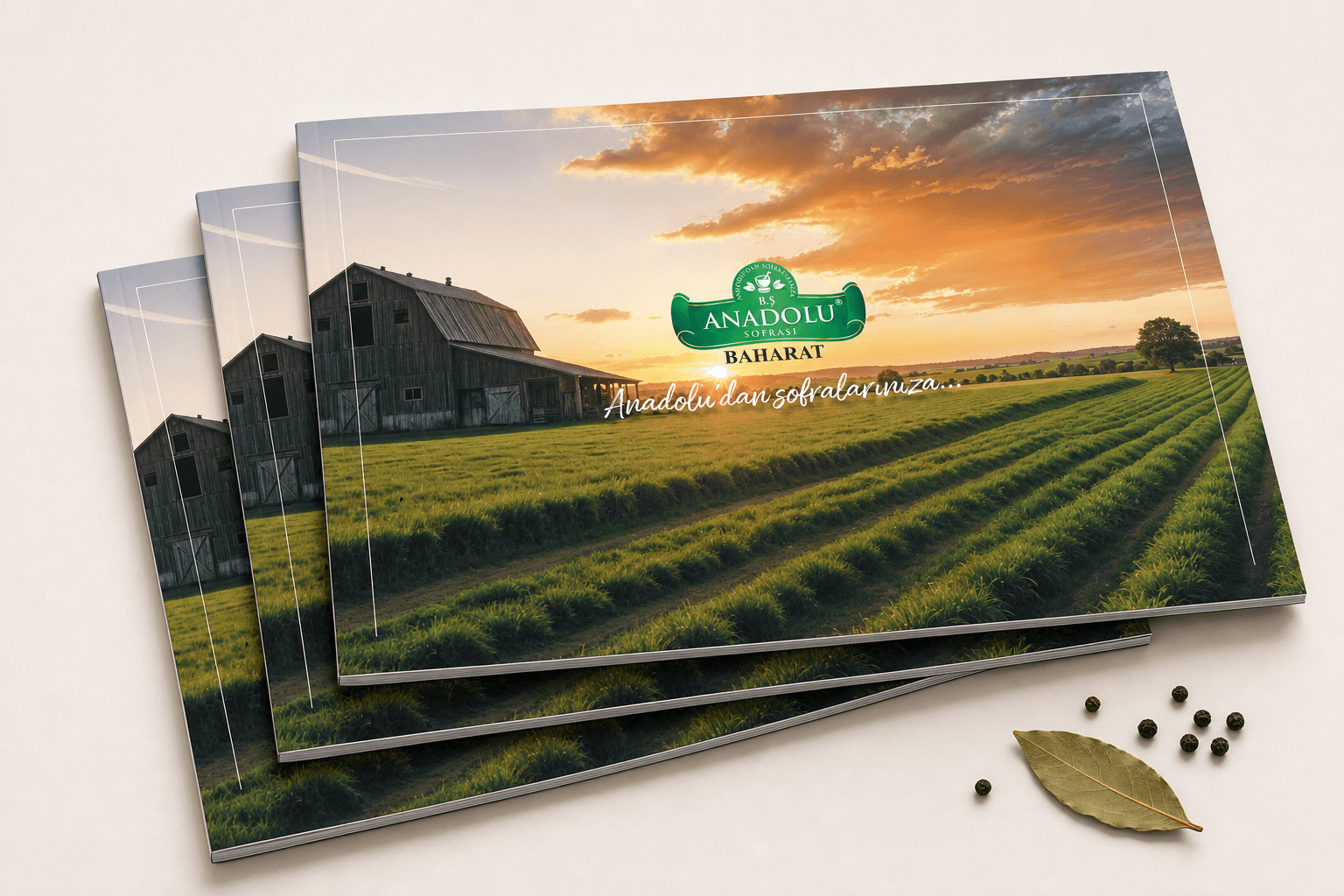 Üç kopya katalog yelpaze dizilmiş