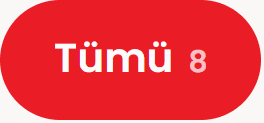Kategori filtre çipi